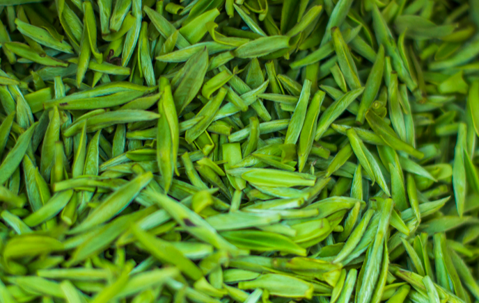 茶葉屬于哪個類目(茶葉屬于哪個類目的商品)