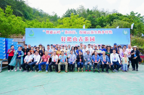 云南省民族茶文化研究會啟動“智惠云嶺”茶山行